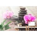 WALL MURAL ORCHID AND ZEN STONES ON WOOD - WALLPAPERS FENG SHUI - WALLPAPERS