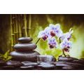 WALL MURAL SPA STILL LIFE - WALLPAPERS FENG SHUI - WALLPAPERS