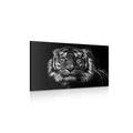 WANDBILD TIGER IN SCHWARZ-WEISS - SCHWARZ-WEISSE BILDER - BILDER