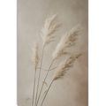 OBRAZ SUCHÁ PAMPOVÁ TRÁVA - OBRAZY - TOTÁLNÍ VÝPRODEJ 🔥