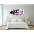 5-PIECE CANVAS PRINT BEAUTIFUL INTERPLAY OF STONES AND ORCHIDS - PICTURES FENG SHUI - PICTURES