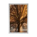 POSTER BAUM IN VERSCHNEITER LANDSCHAFT - NATUR - POSTER