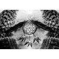 CANVAS PRINT INDIAN DREAM CATCHER IN BLACK AND WHITE - BLACK AND WHITE PICTURES - PICTURES