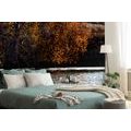 SELF ADHESIVE WALL MURAL REFLECTION OF LEAVES IN THE LAKE - SELF-ADHESIVE WALLPAPERS - WALLPAPERS