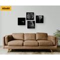 CANVAS PRINT SET ANIMALS IN BLACK AND WHITE STYLE - SET OF PICTURES - PICTURES