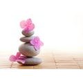 WALL MURAL BALANCE OF STONES AND PINK FLOWERS - WALLPAPERS FENG SHUI - WALLPAPERS