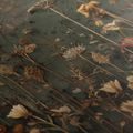 WANDBILD BLÜHENDER GARTEN AUF LEINWAND - BILDER BLUMEN - BILDER