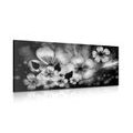 CANVAS PRINT FLOWER FANTASY IN BLACK AND WHITE - BLACK AND WHITE PICTURES - PICTURES