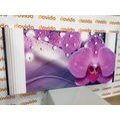 TABLEAU SUR TOILE – ORCHIDÉE PRÈS DES COLONNES GRECQUES - TABLEAUX DE FLEURS - TABLEAUX