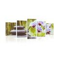 5-PIECE CANVAS PRINT SPA STILL LIFE - PICTURES FENG SHUI - PICTURES