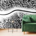 WALL MURAL VIEW OF A WINTER BLACK AND WHITE LANDSCAPE - BLACK AND WHITE WALLPAPERS - WALLPAPERS