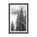 POSTER MIT PASSEPARTOUT SCHNEEBEDECKTE KIEFERN IN SCHWARZ-WEISS - SCHWARZ-WEISS - POSTER