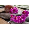 WALL MURAL BEAUTIFUL ORCHID AND ZEN STONES - WALLPAPERS FENG SHUI - WALLPAPERS