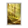 POSTER MIT PASSEPARTOUT SONNENSTRAHLEN IM WALD - NATUR - POSTER