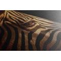 CANVAS PRINT PORTRAIT OF A ZEBRA - PICTURES OF ANIMALS - PICTURES