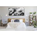 CANVAS PRINT BEAUTIFUL FIELD OF POPPIES IN BLACK AND WHITE - BLACK AND WHITE PICTURES - PICTURES