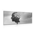 CANVAS PRINT TREE IN THE FORM OF A FACE - BLACK AND WHITE PICTURES - PICTURES