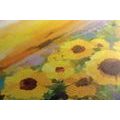 CANVAS PRINT SUNFLOWER FIELD - PICTURES FLOWERS - PICTURES