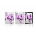 POSTER PURPLE FLOWERS ON AN ABSTRACT BACKGROUND - FLOWERS - POSTERS