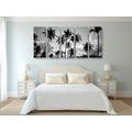 5-PIECE CANVAS PRINT OF COCONUT TREES ON A BEACH IN BLACK AND WHITE - BLACK AND WHITE PICTURES - PICTURES