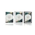 POSTER WITH MOUNT WHITE FLUFFY DANDELION HAT - FLOWERS - POSTERS