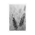 POSTER WHEAT FIELD IN BLACK AND WHITE - BLACK AND WHITE - POSTERS