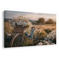 WANDBILD FAHRRAD MIT BLUMEN AUF DER WIESE - BILDER - 🔥 TOTALAUSVERKAUF