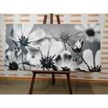 CANVAS PRINT GARDEN FLOWERS IN BLACK AND WHITE - BLACK AND WHITE PICTURES - PICTURES