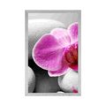 AFFICHE FLEURS D'ORCHIDÉES SUR DES PIERRES BLANCHES - FENG SHUI - AFFICHES