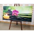 CANVAS PRINT FENG SHUI STILL LIFE - PICTURES FENG SHUI - PICTURES