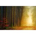 TABLEAU SUR TOILE – CHEMIN EN FORÊT - TABLEAUX DE LA NATURE ET DES PAYSAGES - TABLEAUX