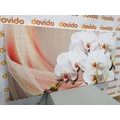 CANVAS PRINT WHITE ORCHID ON A CANVAS - PICTURES FLOWERS - PICTURES