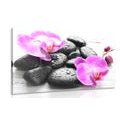 CANVAS PRINT BEAUTIFUL INTERPLAY OF STONES AND ORCHIDS - PICTURES FENG SHUI - PICTURES