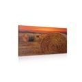 CANVAS PRINT HAY BALES - PICTURES OF NATURE AND LANDSCAPE - PICTURES