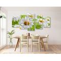 5-PIECE CANVAS PRINT SPRING MEADOW FULL OF FLOWERS - PICTURES FLOWERS - PICTURES