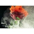 CANVAS PRINT ROSE WITH ABSTRACT ELEMENTS - PICTURES FLOWERS - PICTURES