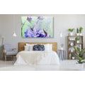 CANVAS PRINT MODERN PAINTED PEONIES - PICTURES FLOWERS - PICTURES