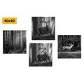 CANVAS PRINT SET FOREST ANIMALS IN BLACK AND WHITE - SET OF PICTURES - PICTURES