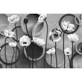 CANVAS PRINT POPPIES ON AN ABSTRACT BACKGROUND IN BLACK AND WHITE - BLACK AND WHITE PICTURES - PICTURES