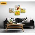 CANVAS PRINT SET WITH A TOUCH OF FREEDOM - SET OF PICTURES - PICTURES