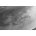 TABLEAU SUR TOILE – ARBRES SOLITAIRES EN NOIR ET BLANC - TABLEAUX EN NOIR ET BLANC - TABLEAUX