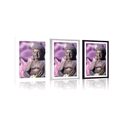 POSTER MIT PASSEPARTOUT FRIEDLICHER BUDDHA - FENG SHUI - POSTER