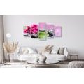 QUADRO IN 5 PARTI ORCHIDEA CON UN TOCCO DI RELAX - QUADRI FENG SHUI - QUADRI