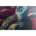 CANVAS PRINT SURREAL TURTLE - PICTURES UNDERWATER WORLD - PICTURES