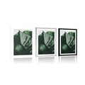 POSTER WITH MOUNT MONSTERA LEAF - FLOWERS - POSTERS