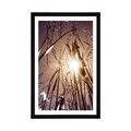 POSTER WITH MOUNT FIELD GRASS - NATURE - POSTERS