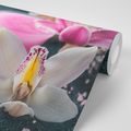 FOTOTAPETA PIĘKNA SZCZEGÓŁOWA ORCHIDEA - TAPETY KWIATY - TAPETY