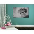 CANVAS PRINT ROSES IN A VASE IN BLACK AND WHITE - BLACK AND WHITE PICTURES - PICTURES