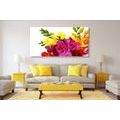 CANVAS PRINT BOUQUET OF FREESIAS - PICTURES FLOWERS - PICTURES