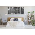 5-PIECE CANVAS PRINT MORNING IN THE FOREST IN BLACK AND WHITE - BLACK AND WHITE PICTURES - PICTURES